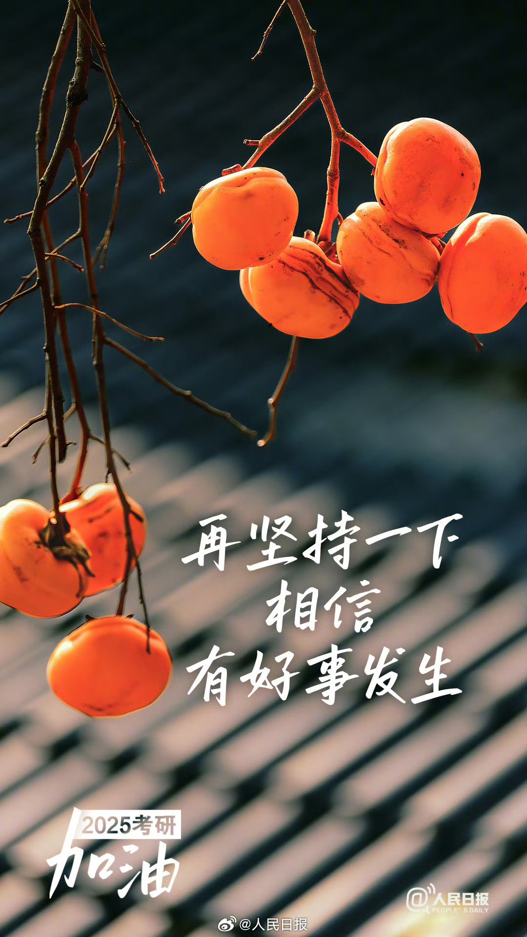辽宁沈阳客场取得胜利，实现关键突破的简单介绍