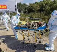 河床伤病恢复进展顺利，期待发挥的简单介绍